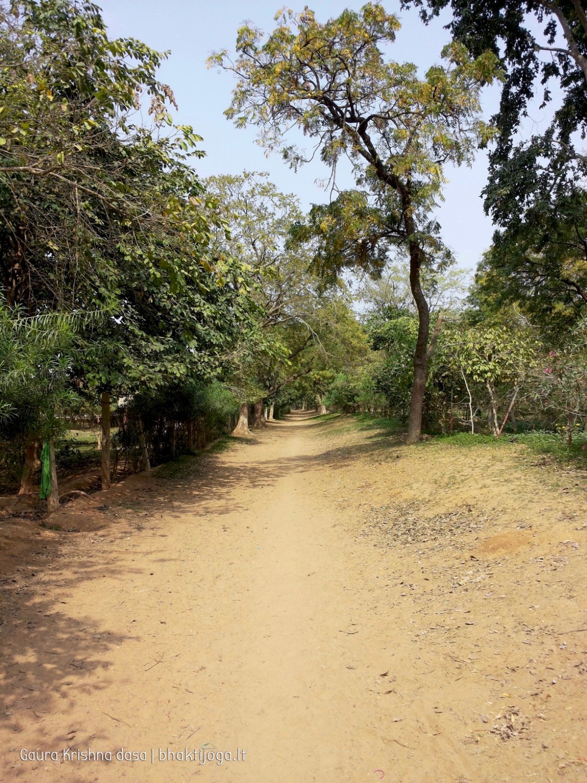  Pathways. 2018.03.14